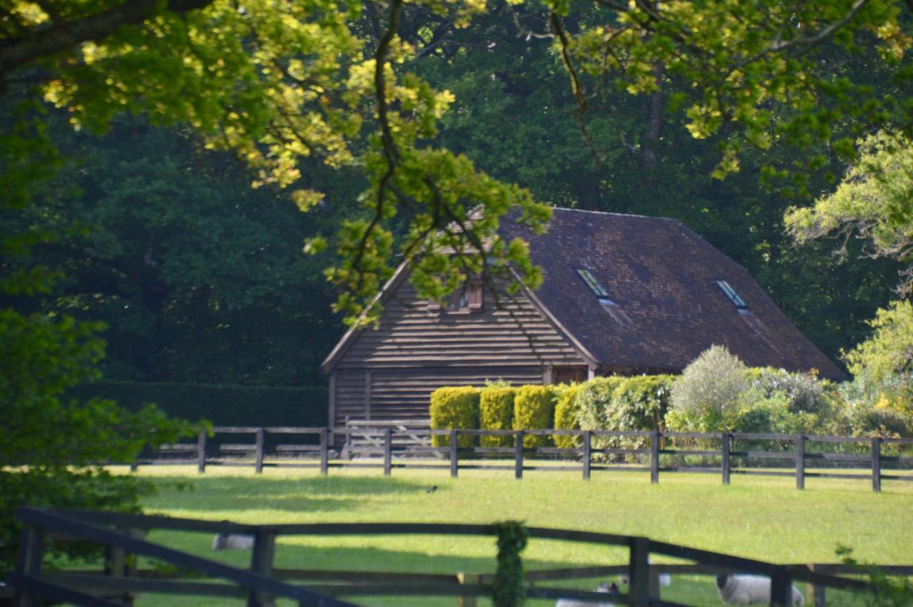 GraffhamThe Hideaway-South Downs National Parkアパートメント エクステリア 写真