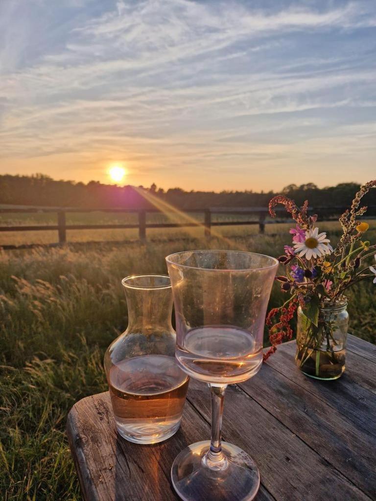 GraffhamThe Hideaway-South Downs National Parkアパートメント エクステリア 写真