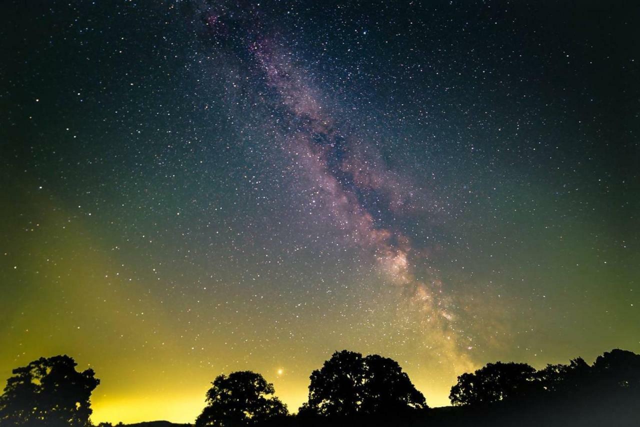 GraffhamThe Hideaway-South Downs National Parkアパートメント エクステリア 写真