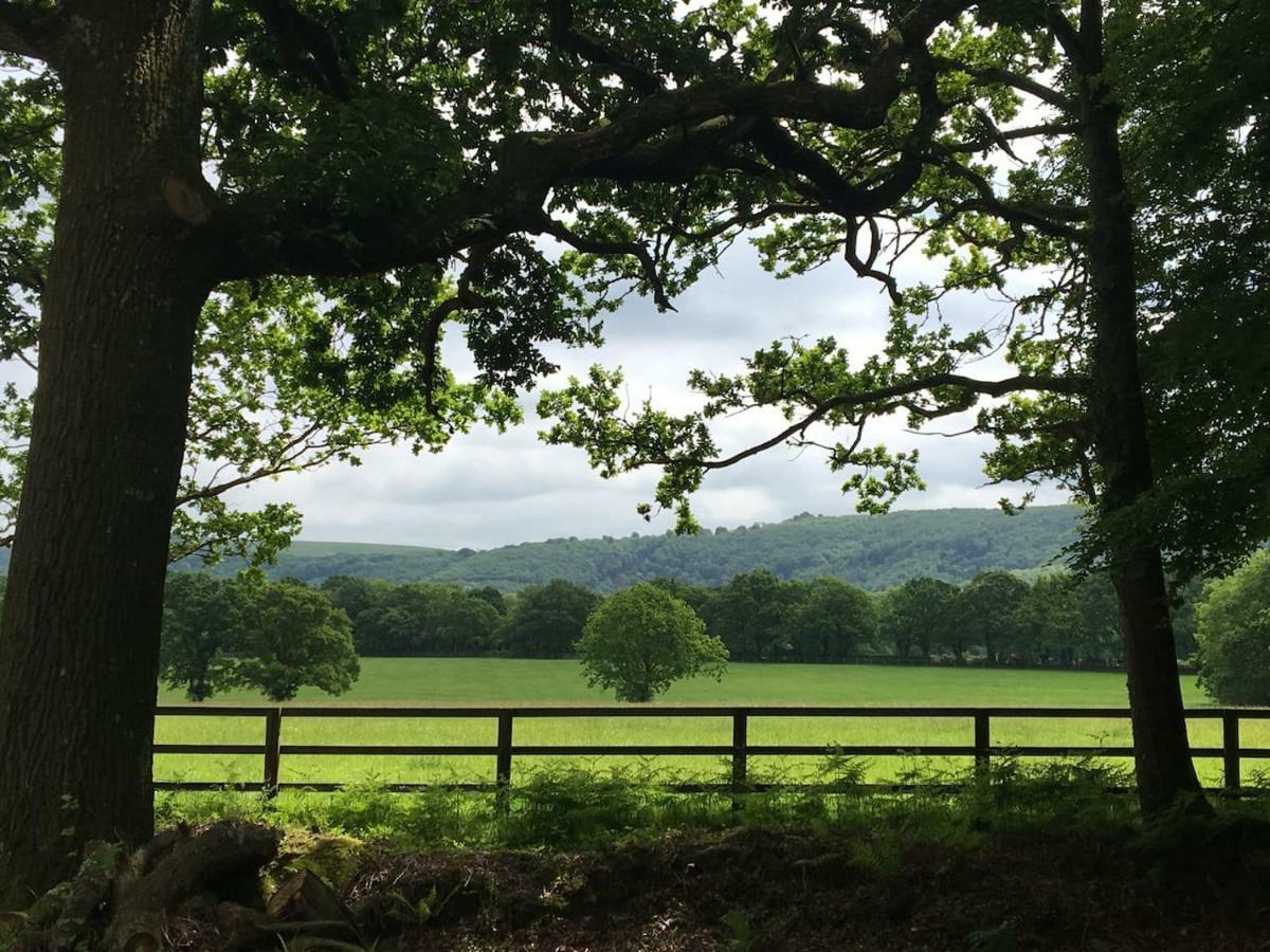 GraffhamThe Hideaway-South Downs National Parkアパートメント エクステリア 写真