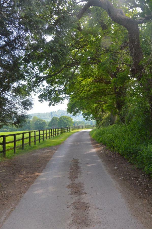 GraffhamThe Hideaway-South Downs National Parkアパートメント エクステリア 写真